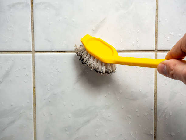Best Affordable Mold Removal  in Rushvle, IL