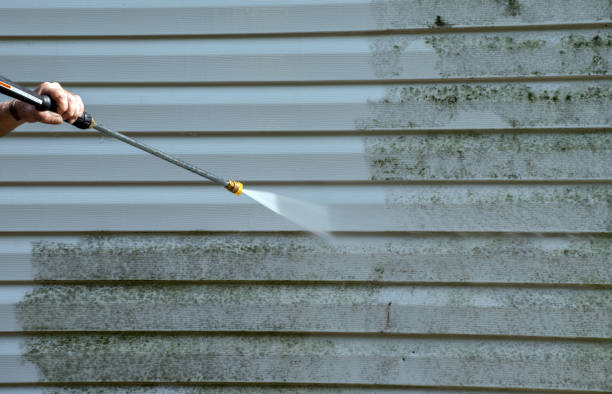 Best Mold Cleaning Services  in Rushvle, IL
