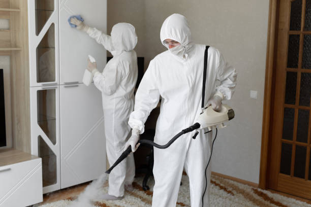 Best Crawl Space Mold Removal  in Rushvle, IL