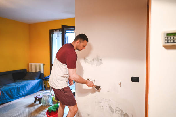 Mold Testing and Removal in Rushville, IL